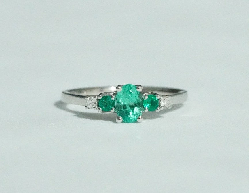 Sinfonía Verde de Eternidad